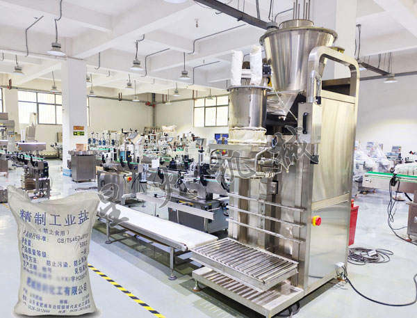 成都工業鹽自動包裝機實拍圖
